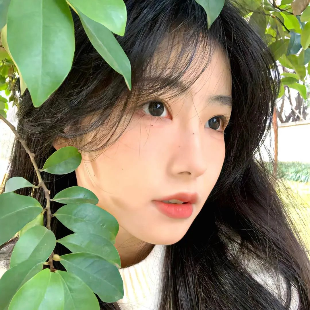 琥珀青龙国语