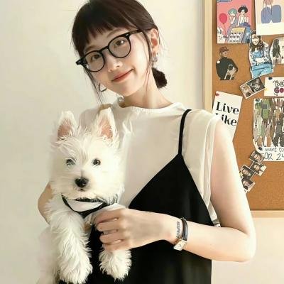 猪猪侠大电影·恐龙日记